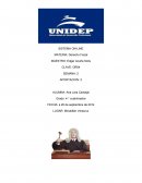 Procedimiento Administrativo de Ejecución SISTEMA ON-LINE