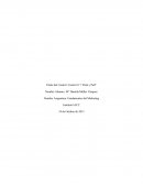 Marketing. ESTRATEGIA “PUSH”