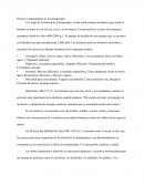 Historia y antecedentes de la aromaterapia