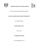 LAs RELACIONES INDIVIDUO-GRUPO-ORGANIZACIÓN