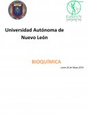 PIA BIOQUÍMICA Identificación de los ingredientes