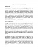 El estado epiléptico (SE)