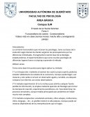 La corriente funcionalista que iniciaron los psicólogos