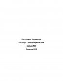 Entrevista por Competencia - Psicología Laboral y Organizacional