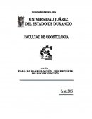 GUÍA PARA LA ELABORACIÓN DEL REPORTE DE INVESTIGACIÓN