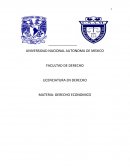 DERECHO ECONOMICO LA CONCESION