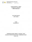 Accion psicosocial y familia. Diagnóstico y propuesta