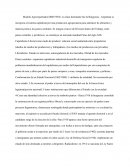 Sociedad y estado argentino