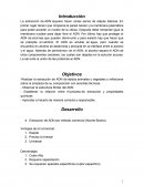 Extrasion de un adn