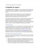 Trabajo final Informatica II, sobre seguros