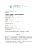 DERROTERO PROCESO EJECUTIVO DE ALIMENTOS