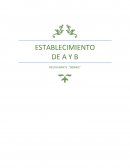 Analisis a un establecimiento de A y B (sibaris)