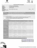 GUÍAS ESTRUCTURADAS DE EVALUACIÓN