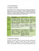 ESTUDIO DE MERCADOS. ANÁLISIS DE LA OFERTA.