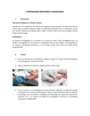 QUE ES LA HEMOGLOBINA Y HEMATOCRITO Y CUALES SON SUS FUNCIONES