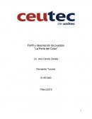 El Perfil y descripcion de puesto