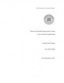 La Organización es la esencia de agrupar individuos y recursos para producir bienes y servicios