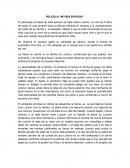 PELICULA “MI VIDA EN ROSA”
