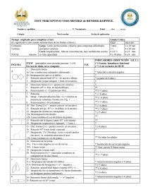 TEST PERCEPTIVO VISO-MOTRIZ de BENDER. Página 1