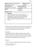 Fundamentos de administracion. Evidencia 2