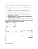 La homeostasis ensayo