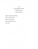 Ingeniería Industrial.Instalaciones Industriales