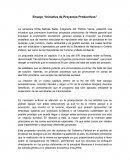 Ensayo “Iniciativa de Proyectos Productivos”