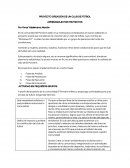 PROYECTO CREACIÓN DE UN CLUB DE FÚTBOL. APRENDIZAJE POR PROYECTOS