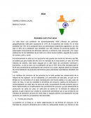 RESUMEN EJECUTIVO INDIA