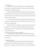 Sector Energético: Un Mercado Oligopólico -INTRODUCCIÓN.