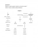 Realizar ejercicio de las habilidades del pensamiento