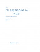 El sentido de la vida . Pasamos la vida desapercibidos