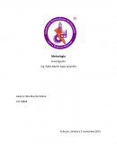 Metrologia Investigación