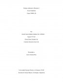 Trabajo colaborativo Momento 1