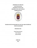 SOLEDAD EN ADULTOS MAYORES DEL ASILO SAN JOSE DE PAMPLONA NORTE DE SANTANDER