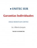 Cuestionario sobre garantias individuales