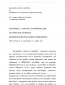 La Peticion de Investigacion sobre Violaciones a Derechos Humanos