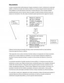 La base monetaria está conformada por el pasivo monetario