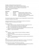 Planeación estratégica - Estilos de planeación