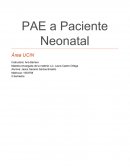 PAE a Paciente Neonatal