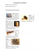 Instrumentos Ecuatorianos Instrumentos ecuatorianos de percusión