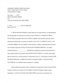 ASESORIA JURÍDICA ESPECIALIZADA. Página 1