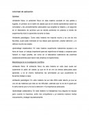 Actividad de aplicación - Orientación