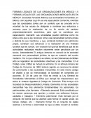 FORMAS LEGALES DE LAS ORGANIZACIONES EN MÉXICO