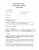 Psicologia social trabajo