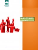 Análisi del emprendimiento pyme