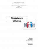 Tema de ¿Qué es la negociación colectiva?