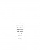 Identificar los factores más relevantes del macro - entorno en el mercado peruano para introducir un negocio chileno en dicho país.