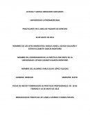 Informe de práctica profesional carrera de derecho