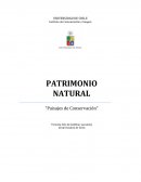 Patrimonio Natural "Cuenca de Aculeo"